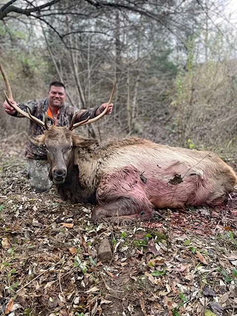 Kentucky Elk customer harvest photo from TLC Outfitters