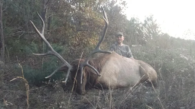 Kentucky Elk customer harvest photo from TLC Outfitters