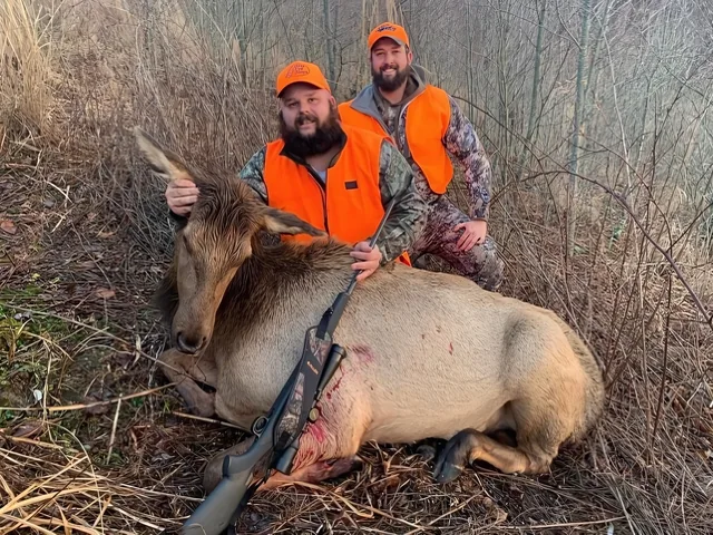 Kentucky Elk customer harvest photo from TLC Outfitters